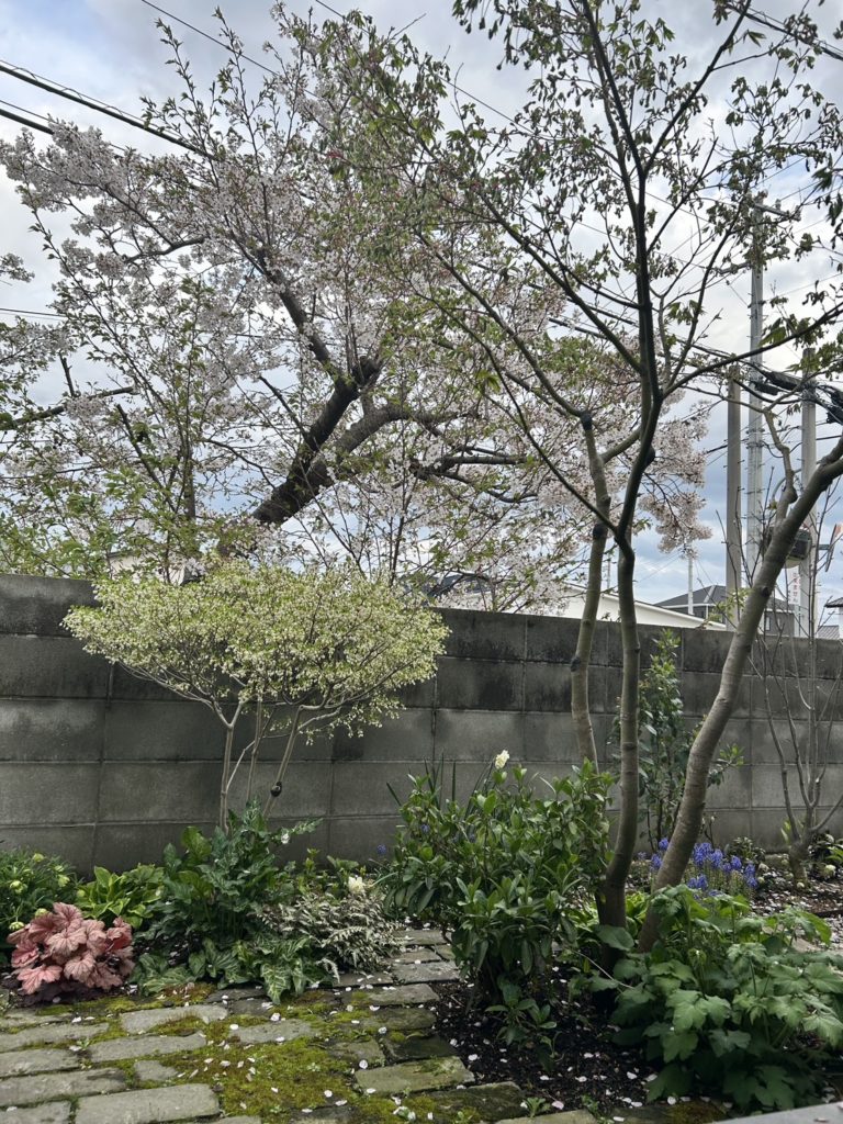 変わらない景色と、変わっていく暮らし。